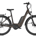 Kalkhoff Image 1.B Advance 500Wh Crystalgrey Matt Fodbremse