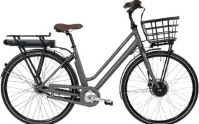 Raleigh Sussex E1 Mat Grå